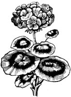 PLF087E.TIF