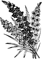 PLF087D.TIF