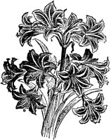 PLF087C.TIF
