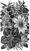 PLF087A.TIF