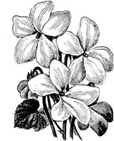 PLF086D.TIF