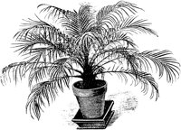 PLF086C.TIF