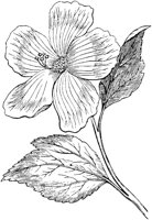 PLF085I.TIF