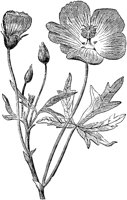 PLF085H.TIF