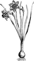 PLF085G.TIF