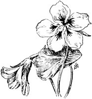 PLF085F.TIF
