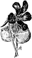 PLF085D.TIF