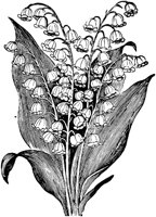 PLF085A.TIF