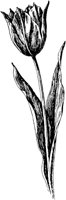PLF084J.TIF