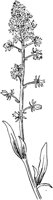PLF084I.TIF