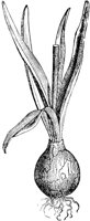 PLF084H.TIF
