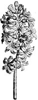 PLF084G.TIF