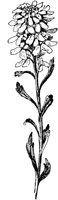 PLF084F.TIF