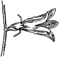 PLF084D.TIF