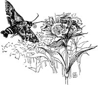 PLF084A.TIF