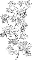 PLF083F.TIF