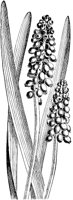 PLF083E.TIF