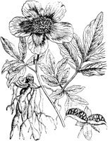 PLF082E.TIF
