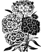 PLF082D.TIF