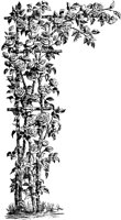 PLF082A.TIF