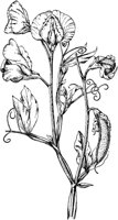 PLF080E.TIF