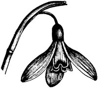 PLF080C.TIF