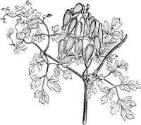 PLF079G.TIF