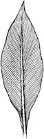 PLF079C.TIF