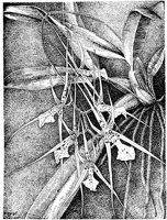 PLF076A.TIF