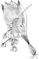 PLF073F.TIF