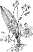 PLF073E.TIF