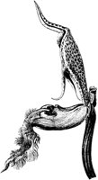 PLF072C.TIF