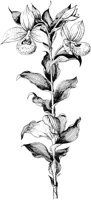 PLF072B.TIF