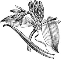 PLF071C.TIF