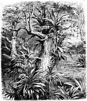 PLF070A.TIF