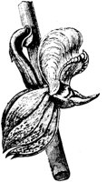 PLF069F.TIF