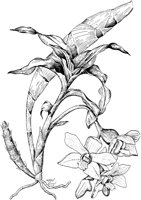 PLF069D.TIF