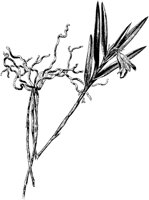 PLF069A.TIF