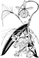 PLF067D.TIF