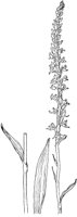 PLF066D.TIF