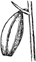PLF065G.TIF