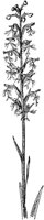 PLF065F.TIF
