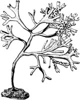PLF023E.TIF