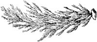PLF022D.TIF