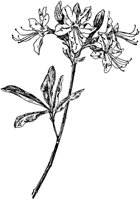 PLF021E.TIF