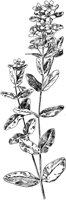 PLF021D.TIF