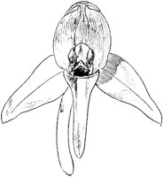 PLF021B.TIF