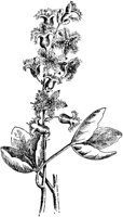 PLF020C.TIF