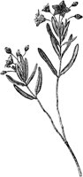 PLF020B.TIF