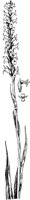 PLF020A.TIF